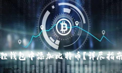 如何在小狐狸钱包中添加比特币？详尽指南与实用技巧