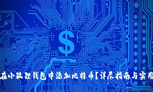 如何在小狐狸钱包中添加比特币？详尽指南与实用技巧