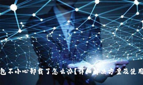 TP钱包不小心卸载了怎么办？详细解决方案及使用技巧