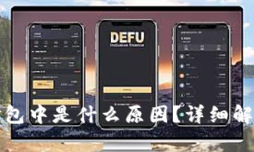 TP钱包转账打包中是什么原因？详细解析与解决方案