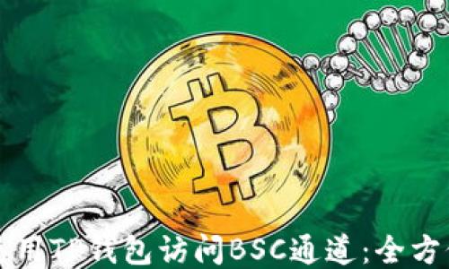 
如何使用TP钱包访问BSC通道：全方位指导