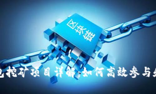 TP钱包挖矿项目详解：如何高效参与和盈利