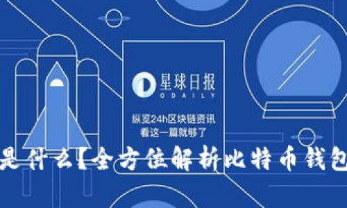 比特币钱包标识是什么？全方位解析比特币钱包的功能与安全性