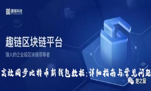 如何高效同步比特币新钱包数据：详细指南与常见问题解答