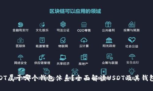 : USDT属于哪个钱包体系？全面解读USDT及其钱包类型