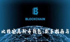 如何安全使用比特安尼斯
