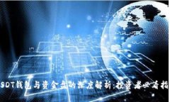 USDT钱包与资金盘的深度解