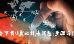 如何安全下载U盘比特币钱