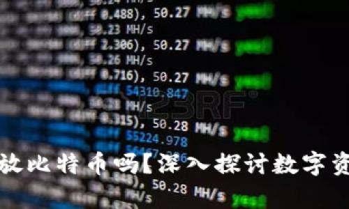 比特币钱包只能放比特币吗？深入探讨数字资产的存储与管理