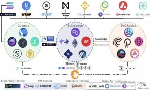 如何识别TP钱包中的假USDT：实用指南