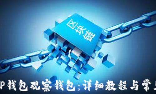 
如何设置TP钱包观察钱包：详细教程与常见问题解答