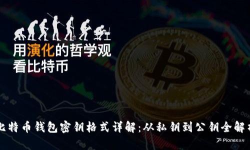 比特币钱包密钥格式详解：从私钥到公钥全解析