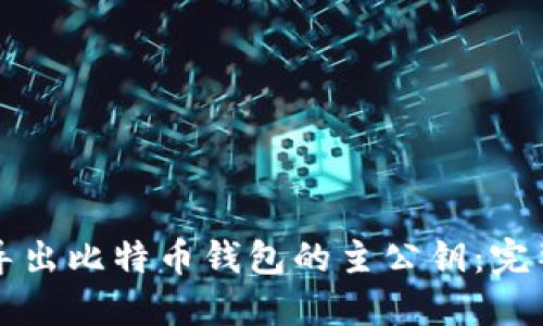 如何导出比特币钱包的主公钥：完整指南