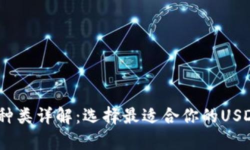 USDT钱包种类详解：选择最适合你的USDT存储方式
