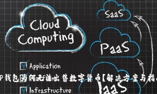 TP钱包为何无法出售数字货币？解决方案与指南