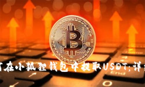 : 如何在小狐狸钱包中提取USDT：详细指南