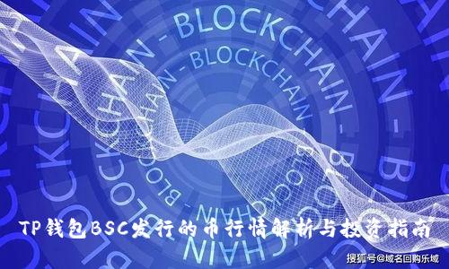 TP钱包BSC发行的币行情解析与投资指南