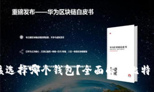 比特币提现应该选择哪个钱包？全面解析比特币钱包选择指南