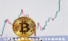 tp钱包丢失助记词怎么办？