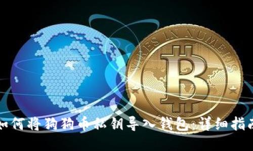 如何将狗狗币私钥导入钱包：详细指南