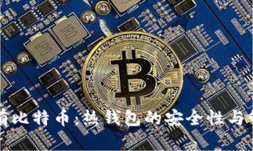 长期持有比特币：热钱包的安全性与管理技巧