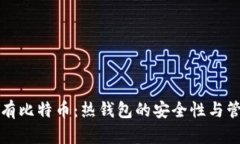 长期持有比特币：热钱包