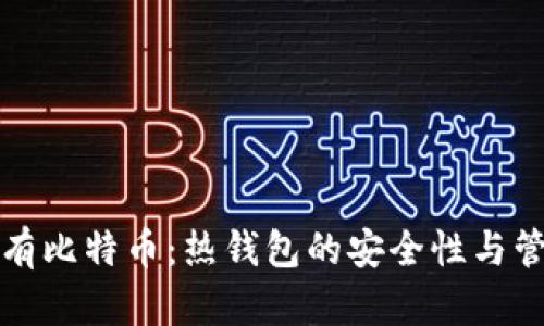 长期持有比特币：热钱包的安全性与管理技巧