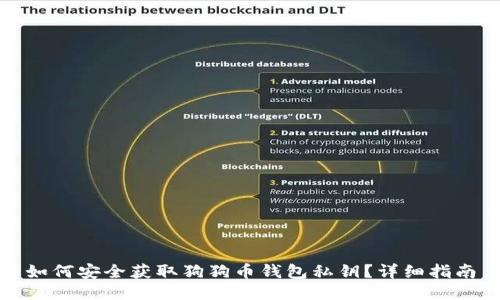 如何安全获取狗狗币钱包私钥？详细指南