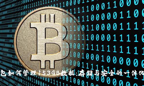 比特币钱包如何管理153GB数据：存储与安全的一体化解决方案
