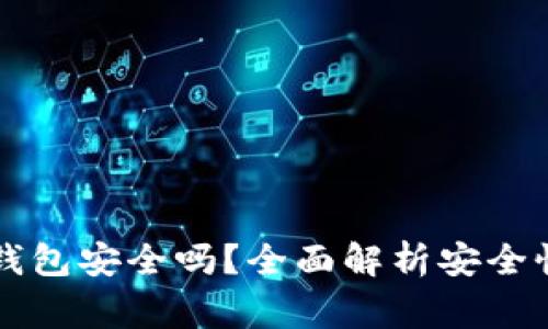 华英会的钱放TP钱包安全吗？全面解析安全性及使用注意事项