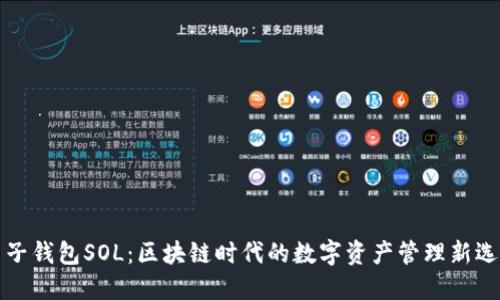 麦子钱包SOL：区块链时代的数字资产管理新选择