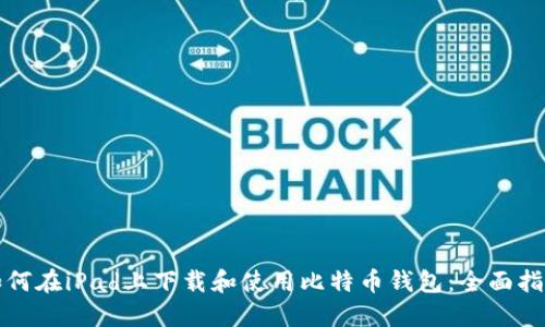 如何在iPad上下载和使用比特币钱包：全面指南