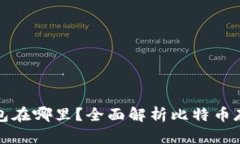 比特币钱包在哪里？全面