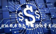 解决比特币钱包下载慢的