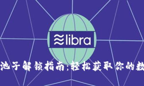 TP钱包池子解锁指南：轻松获取你的数字资产