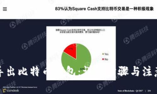 如何导出比特币钱包：详细步骤与注意事项