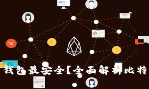 比特币存什么钱包最安全？全面解析比特币钱包的选择