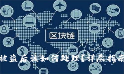 TP钱包币子被盗后该如何处理？详尽指南与安全建议