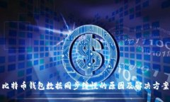 比特币钱包数据同步缓慢