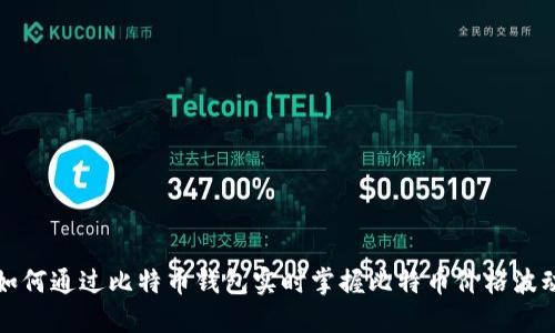 如何通过比特币钱包实时掌握比特币价格波动