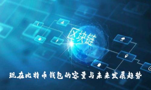 现在比特币钱包的容量与未来发展趋势