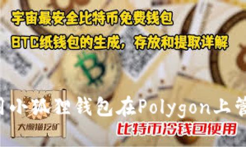 如何使用小狐狸钱包在Polygon上管理USDT