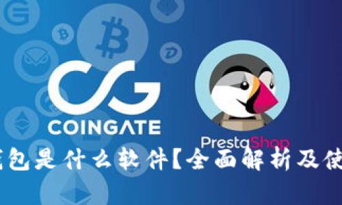 USDT钱包是什么软件？全面解析及使用指南