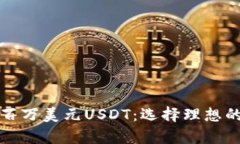 如何安全存储百万美元U