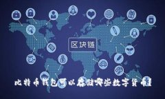 比特币钱包可以存储哪些