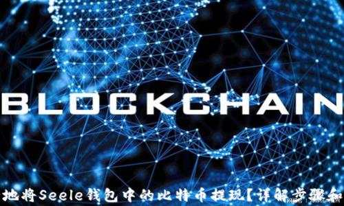 
如何安全地将Seele钱包中的比特币提现？详解步骤和注意事项