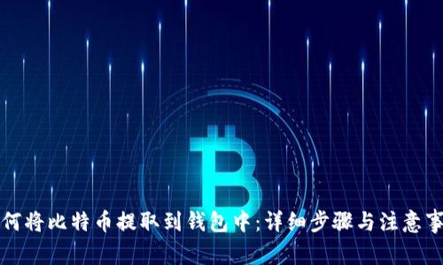 如何将比特币提取到钱包中：详细步骤与注意事项