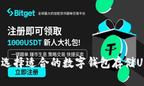 如何选择适合的数字钱包存储USDT？