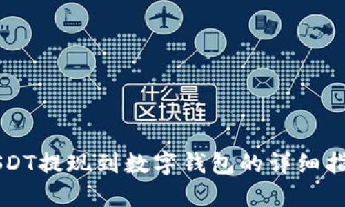 USDT提现到数字钱包的详细指南