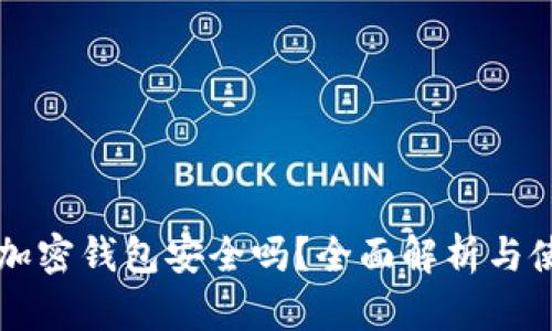 比特币加密钱包安全吗？全面解析与使用指南